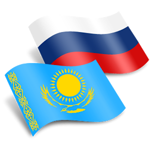 Визит делегации медицинских работников Омской области (Россия)