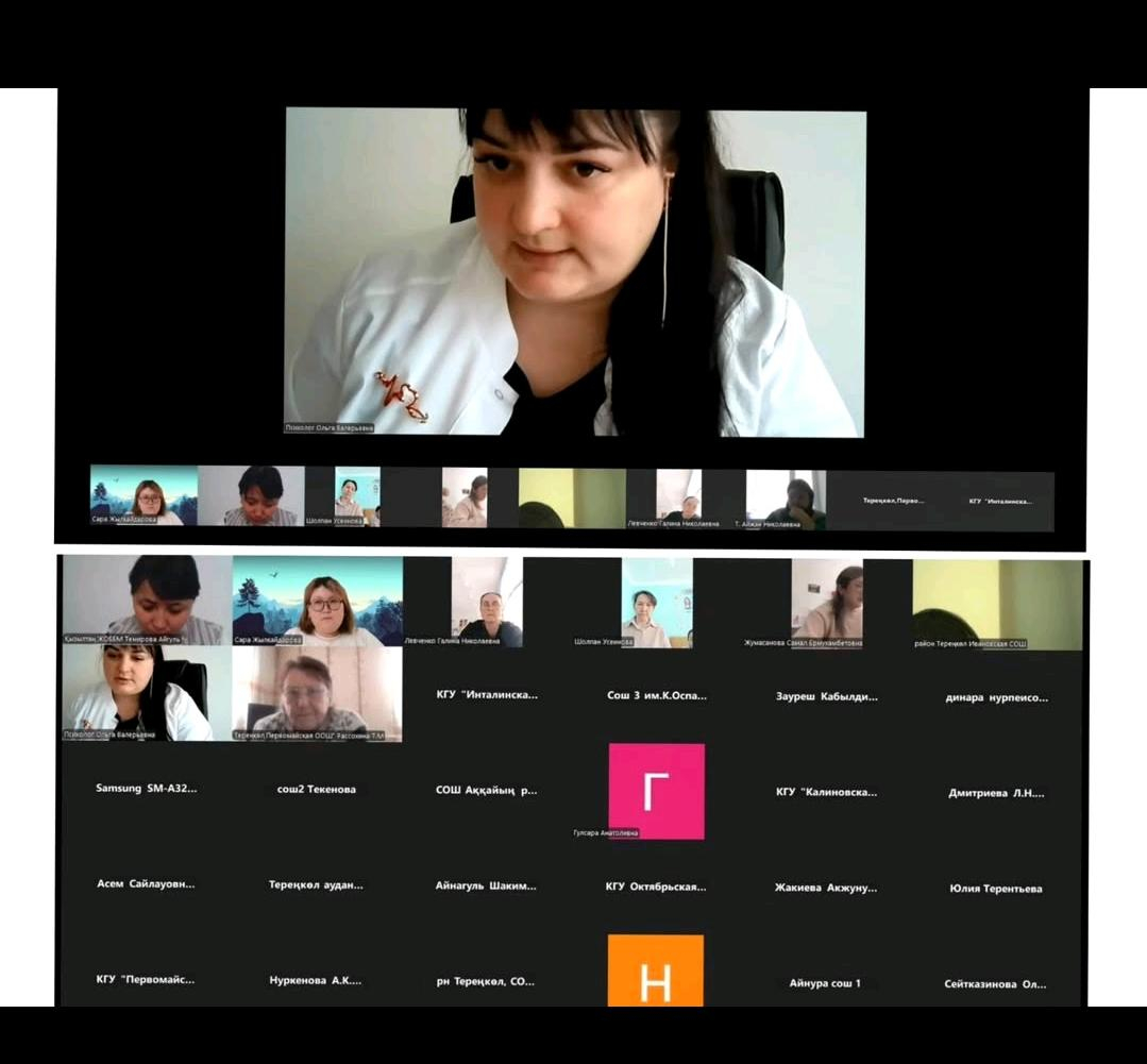 Вебинар по вопросам раннего выявления рисков в эмоциональном состоянии несовершеннолетних и профилактики деструктивного поведения.