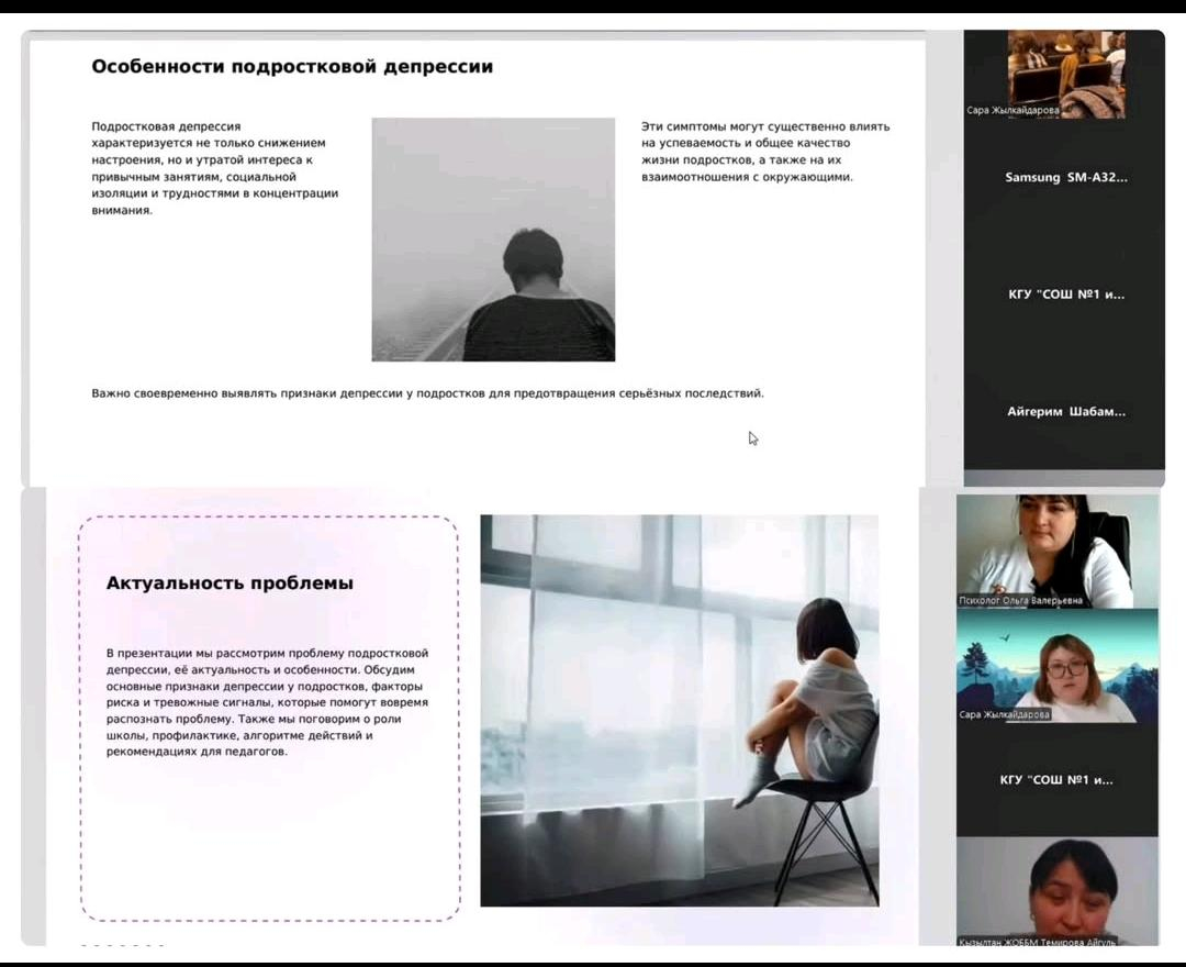 Тереңкөл ауданында кәмелетке толмағандардың эмоционалдық жағдайындағы тәуекелдерді ерте анықтау және деструктивті мінез-құлықтың алдын алу тақырыбында аудандық вебинар өтті.