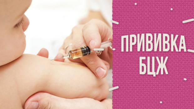 БЦЖ вакцинация