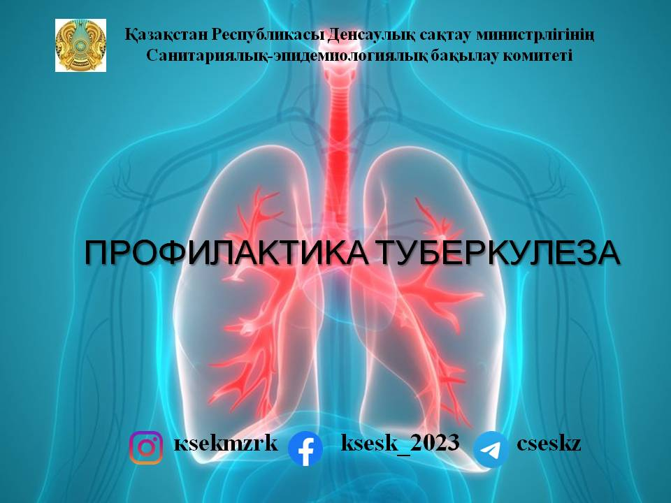 Профилактика теберкулёза