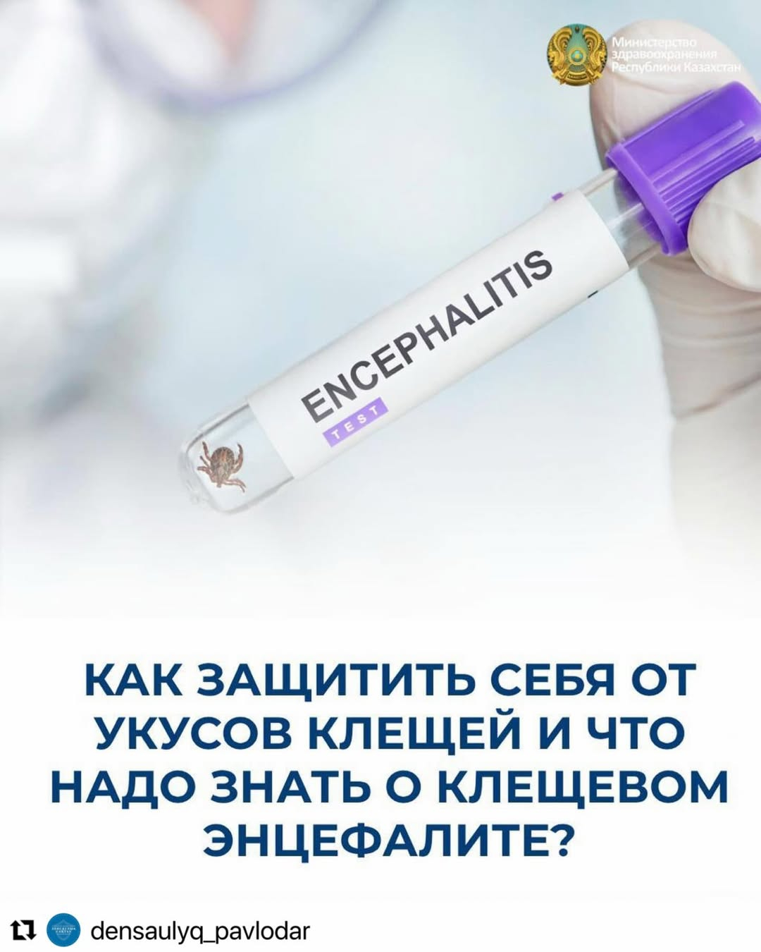 Как защитить себя от укусов клещей