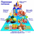 Тиімді тамақтану 